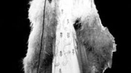 Timeline: Celia Cruz