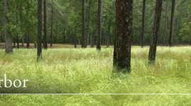 Timeline: Battle of Cold Harbor