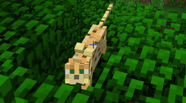 Timeline: minecraft