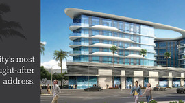 Timeline: Burton Timeline