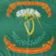 Irish brigade