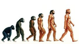 Timeline: Theory of Evolution