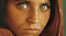 Timeline: Woman Timeline