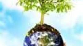 Timeline: EDUCACIÓN AMBIENTAL EN LOS ÚLTIMOS AÑOS