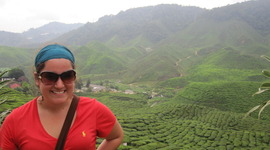 Timeline: Cara_D_PSY315