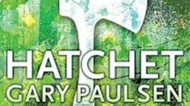 Timeline: Hatchet Timeline clark