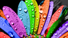 Timeline: 我的时间线