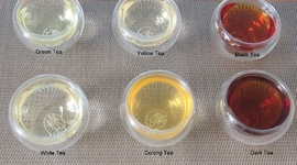 Timeline: The Evolution of Tea