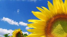 Timeline: Моє життя