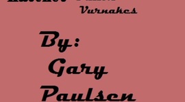 Timeline: Hatchet Dalton Vurnakes block 3