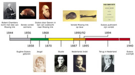 Timeline: Biologen aan het werk