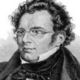 Franz schubert cropped