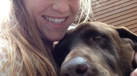 Timeline: Monica Endsley