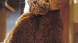 Timeline: Andrews Personal and Worldly Timeling