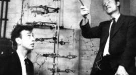 Timeline: Discovering the Structure of DNA