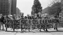 Timeline: Cronología Desaparición Forzada