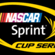 Nascar logo