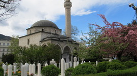 Timeline: Donovan Kavish