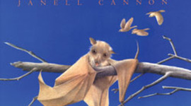 Timeline: Stellaluna Debbie Pena