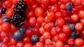 Timeline: Bad case of stripes- Alexandria Jolivet