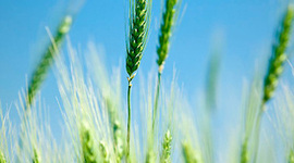 Timeline: mi linea de tiempo