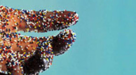 Timeline: Zach Bibik, A Million Little Pieces