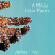 A million little pieces