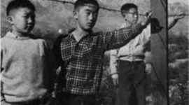 Timeline: Freedom by 1945