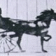 Carriage2