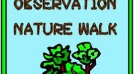 Timeline: Nature walk