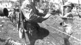 Timeline: Our stories