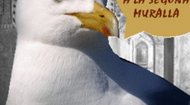 Timeline: SEGLE V-SEGLE XEDAT MITJANA: VISIGOTS I RABS