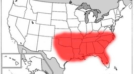 Timeline: The Bible Belt