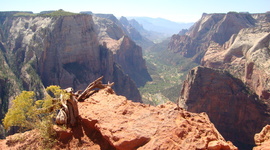 Timeline: Lesinski Timeline