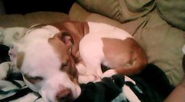 Timeline: Atomic Model Timeline