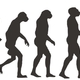 Evolucion humana3 (1)