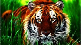 Timeline: evolución del trabajo social