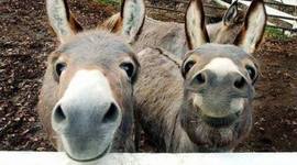 Timeline: наша группа