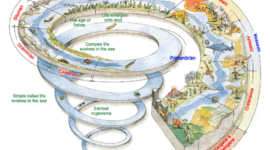 Timeline: SAA! SAA! EARTH"S TIMELINE IS HERE! BY ZEKE COHEN AND ERIC PETERSON