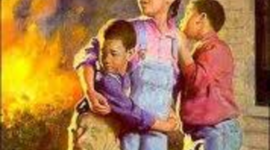 Timeline: Roll of Thunder Hear My Cry