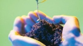 Timeline: Tiempo probable para logro de los objetivos