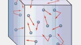 Timeline: Swaggie Seven Pressure Scientists