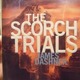 The scorch trials