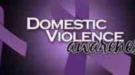 Timeline: Curricular Improvement Plan for Domestic Violence Prevention Agency