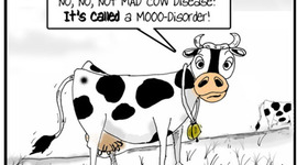 Timeline: Dissertation