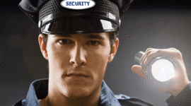 Timeline: SEGURIDAD PRIVADA