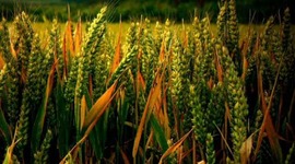 Timeline: Moments in Government