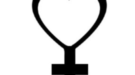 Timeline: Transition Timeline