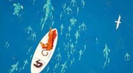 Timeline: Life of Pi