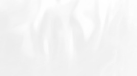 Timeline: Biologen aan het werk